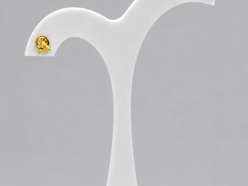 Golden Mini Spiral Studs
